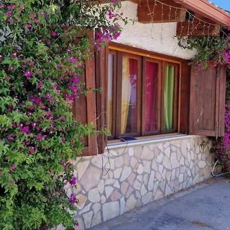 Bed & Breakfast Miami